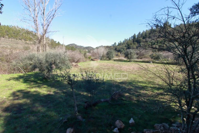 Quinta T2 para Venda em São Martinho das Amoreiras Foto 20