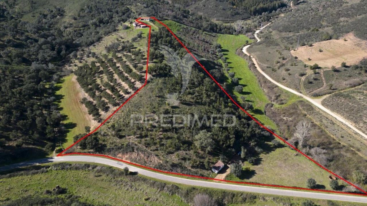 Quinta T2 para Venda em São Martinho das Amoreiras Foto 4