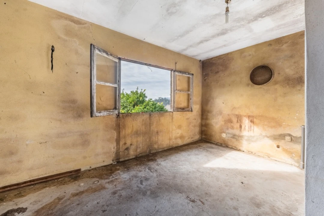 Quinta para Venda em Bouro (Santa Maria) Foto 9