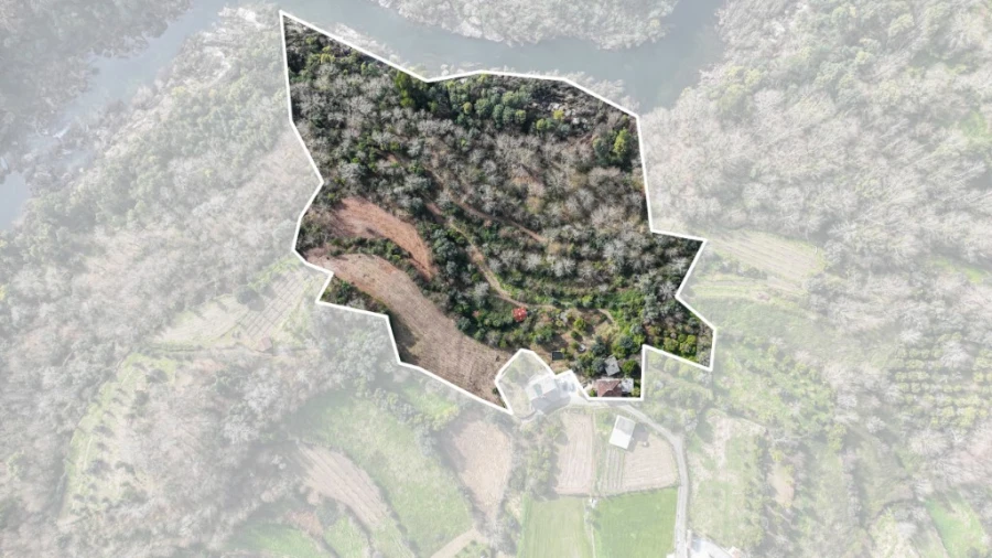 Quinta para Venda em Bouro (Santa Maria) Foto 19