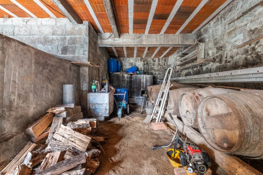 Quinta para Venda em Bouro (Santa Maria) Foto 11