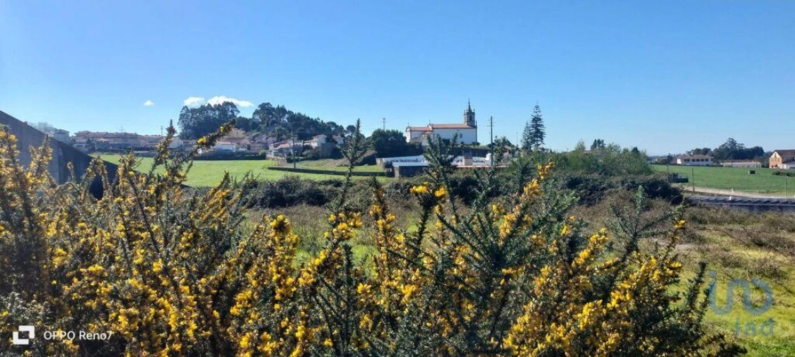 Terreno para Venda em Guilhabreu Foto 8