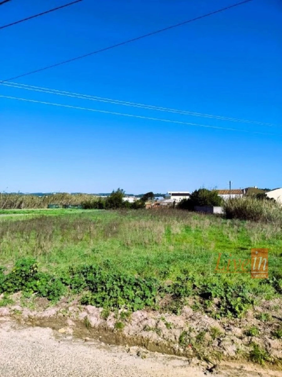 Terreno para Venda em Silveira Foto 3