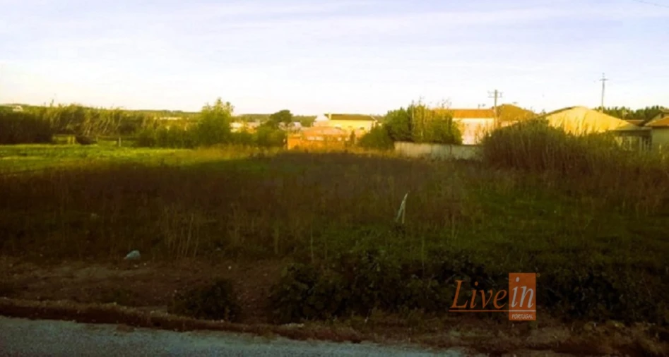 Terreno para Venda em Silveira Foto 5