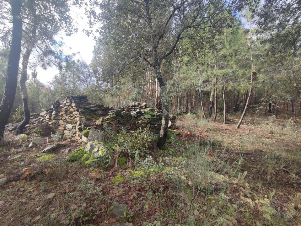 Terreno Agricola ou Rústico para Venda em Aranhas Foto 1
