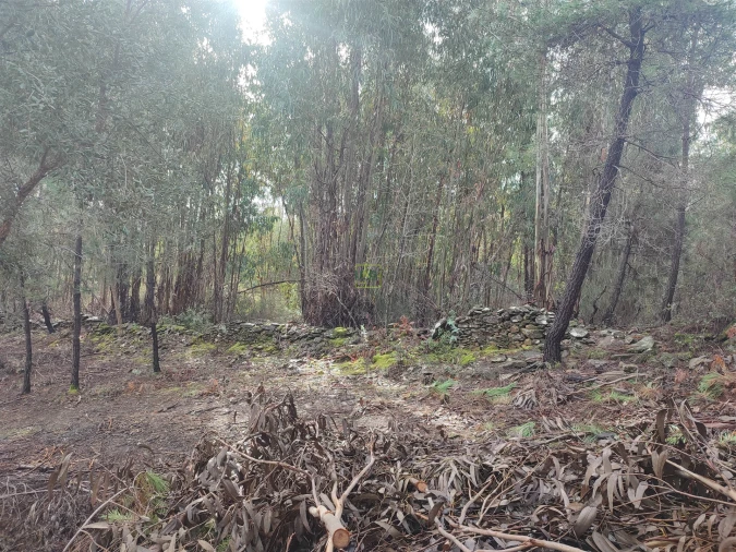 Terreno Agricola ou Rústico para Venda em Aranhas Foto 11