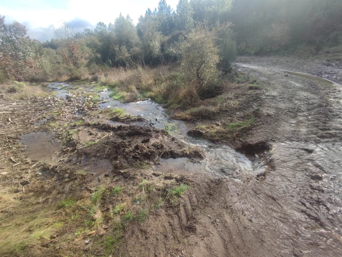 Terreno Agricola ou Rústico para Venda em Aranhas Foto 6