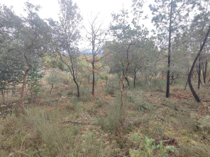 Terreno Agricola ou Rústico para Venda em Aranhas Foto 14