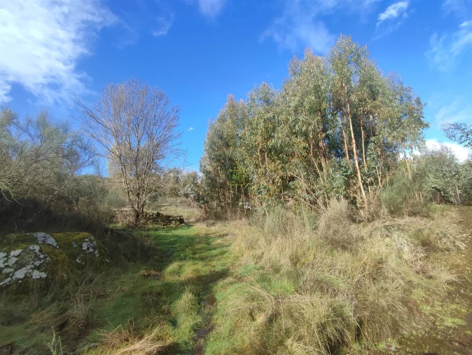 Terreno Agricola ou Rústico para Venda em Aranhas Foto 5