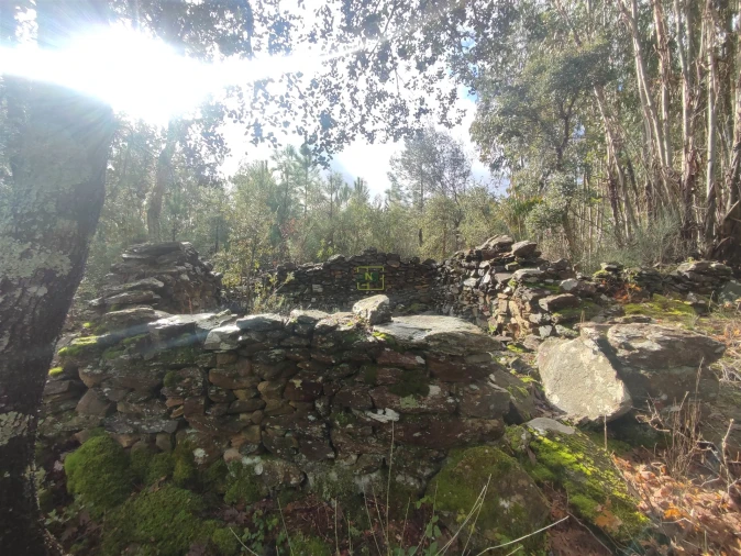 Terreno Agricola ou Rústico para Venda em Aranhas Foto 13