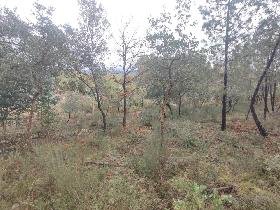 Terreno Agricola ou Rústico para Venda em Aranhas Foto 14