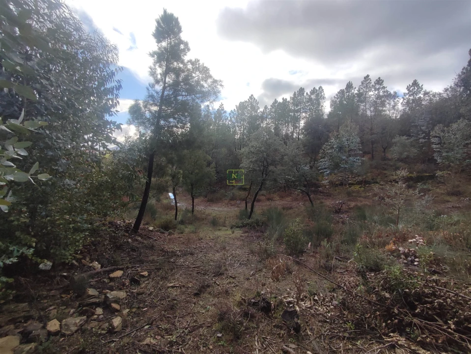 Terreno Agricola ou Rústico para Venda em Aranhas Foto 9