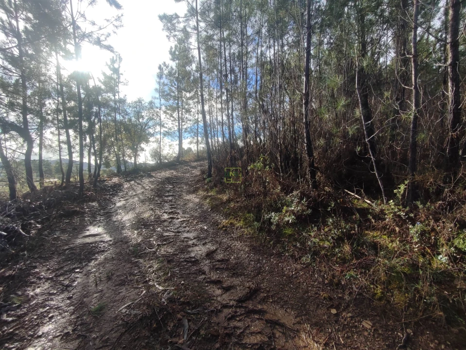 Terreno Agricola ou Rústico para Venda em Aranhas Foto 3