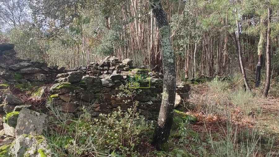 Terreno Agricola ou Rústico para Venda em Aranhas
