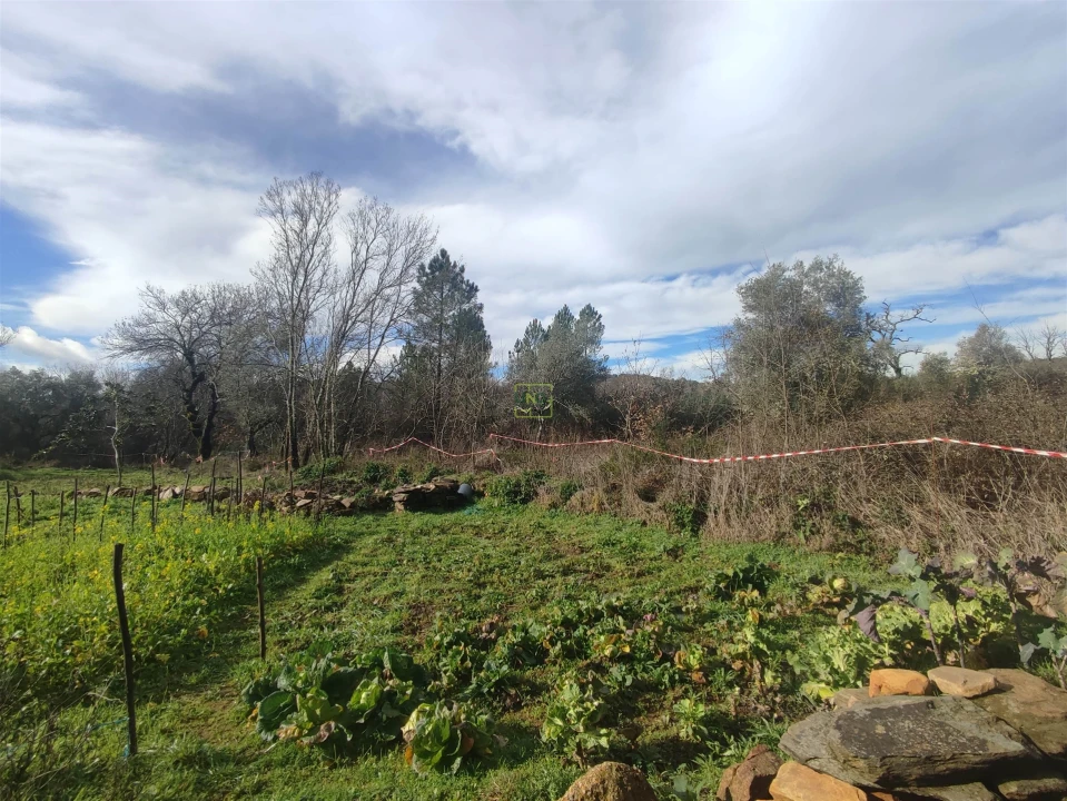 Terreno Agricola ou Rústico para Venda em Monsanto e Idanha-A-Velha Foto 13