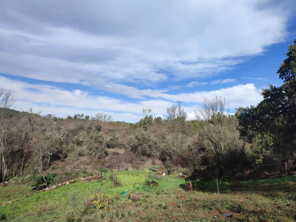 Terreno Agricola ou Rústico para Venda em Monsanto e Idanha-A-Velha Foto 3
