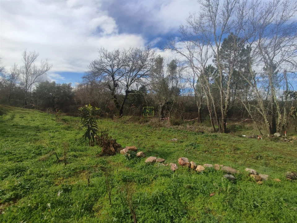 Terreno Agricola ou Rústico para Venda em Monsanto e Idanha-A-Velha Foto 17