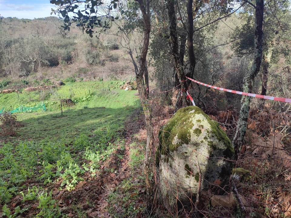 Terreno Agricola ou Rústico para Venda em Monsanto e Idanha-A-Velha Foto 6