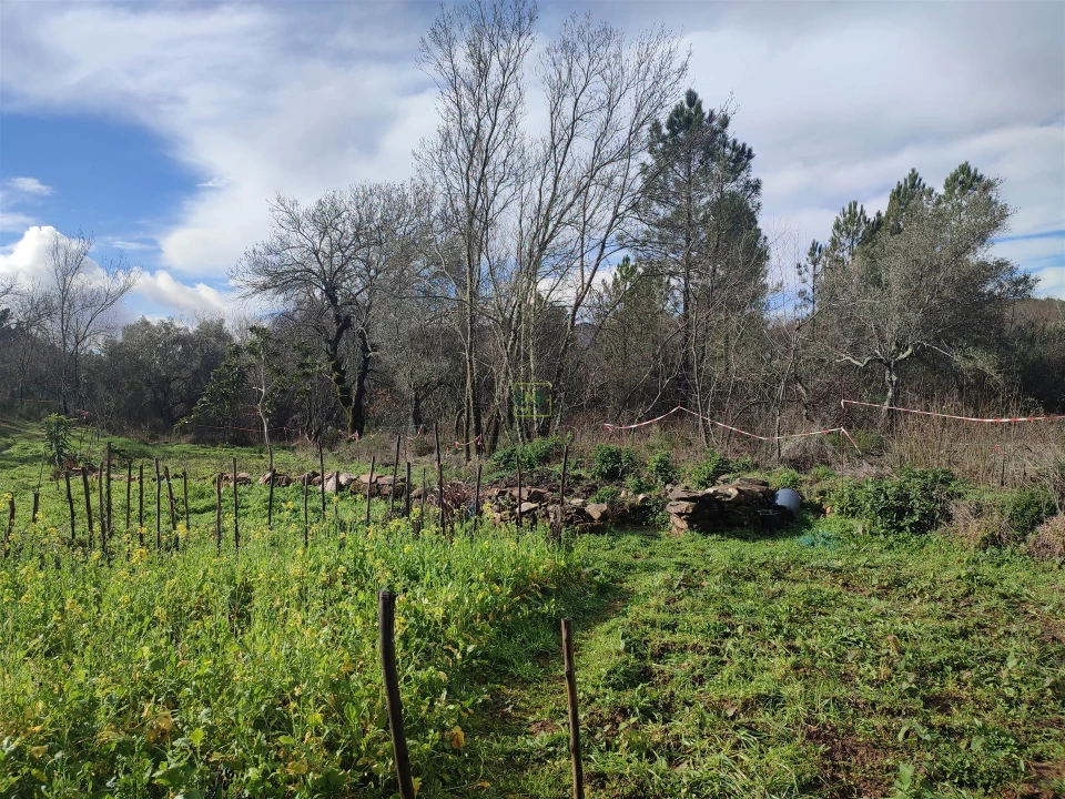 Terreno Agricola ou Rústico para Venda em Monsanto e Idanha-A-Velha Foto 11
