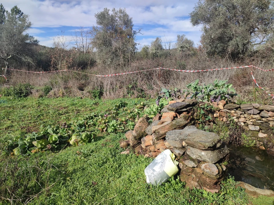 Terreno Agricola ou Rústico para Venda em Monsanto e Idanha-A-Velha Foto 10