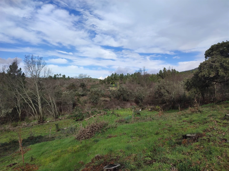 Terreno Agricola ou Rústico para Venda em Monsanto e Idanha-A-Velha Foto 20