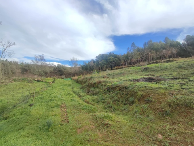 Terreno Agricola ou Rústico para Venda em Monsanto e Idanha-A-Velha Foto 18