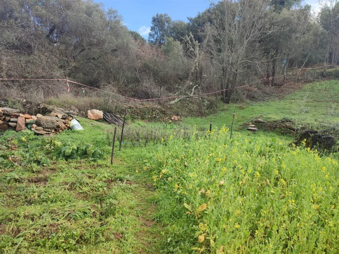 Terreno Agricola ou Rústico para Venda em Monsanto e Idanha-A-Velha Foto 15