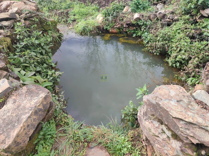 Terreno Agricola ou Rústico para Venda em Monsanto e Idanha-A-Velha Foto 14