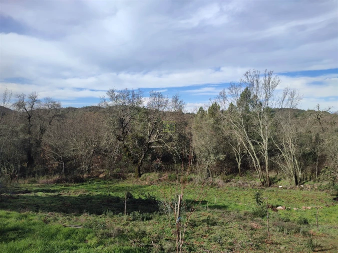 Terreno Agricola ou Rústico para Venda em Monsanto e Idanha-A-Velha Foto 2
