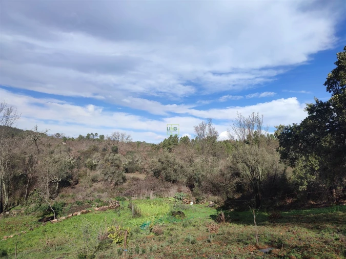 Terreno Agricola ou Rústico para Venda em Monsanto e Idanha-A-Velha Foto 3