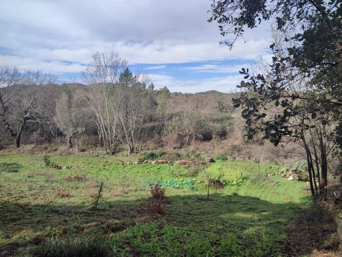 Terreno Agricola ou Rústico para Venda em Monsanto e Idanha-A-Velha Foto 5