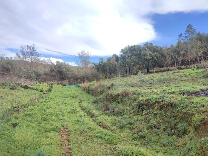 Terreno Agricola ou Rústico para Venda em Monsanto e Idanha-A-Velha Foto 19
