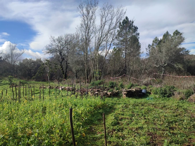 Terreno Agricola ou Rústico para Venda em Monsanto e Idanha-A-Velha Foto 11