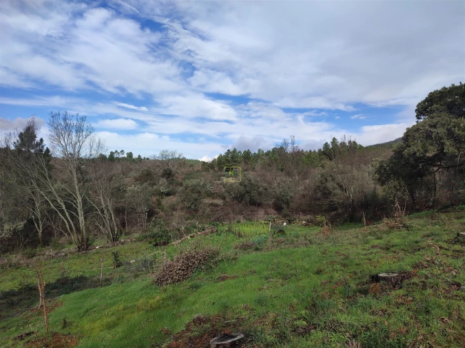 Terreno Agricola ou Rústico para Venda em Monsanto e Idanha-A-Velha Foto 20