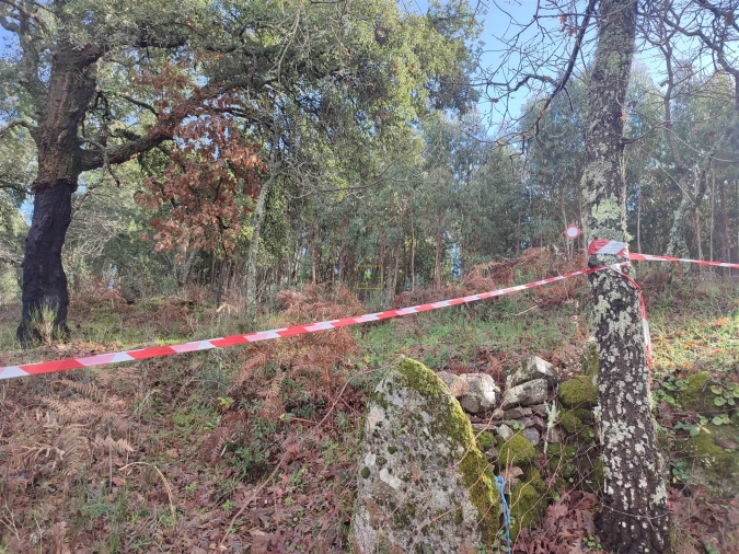 Terreno Agricola ou Rústico para Venda em Monsanto e Idanha-A-Velha Foto 7