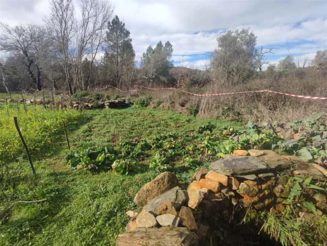 Terreno Agricola ou Rústico para Venda em Monsanto e Idanha-A-Velha Foto 12