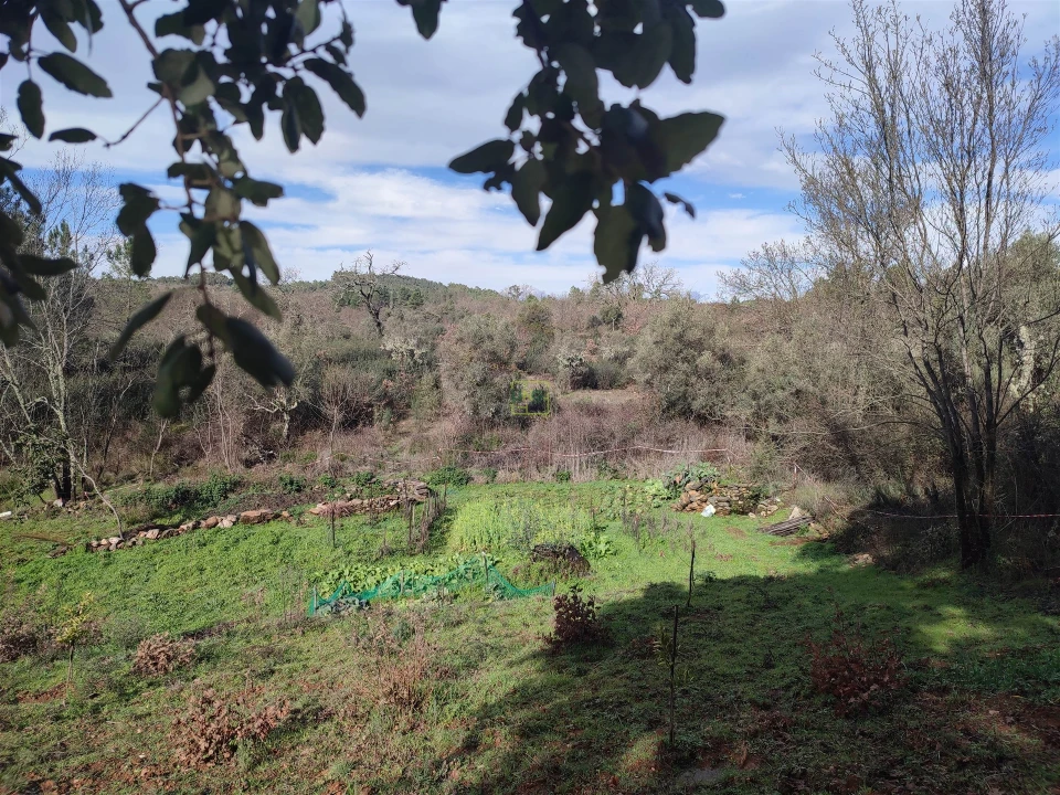 Terreno Agricola ou Rústico para Venda em Monsanto e Idanha-A-Velha Foto 1