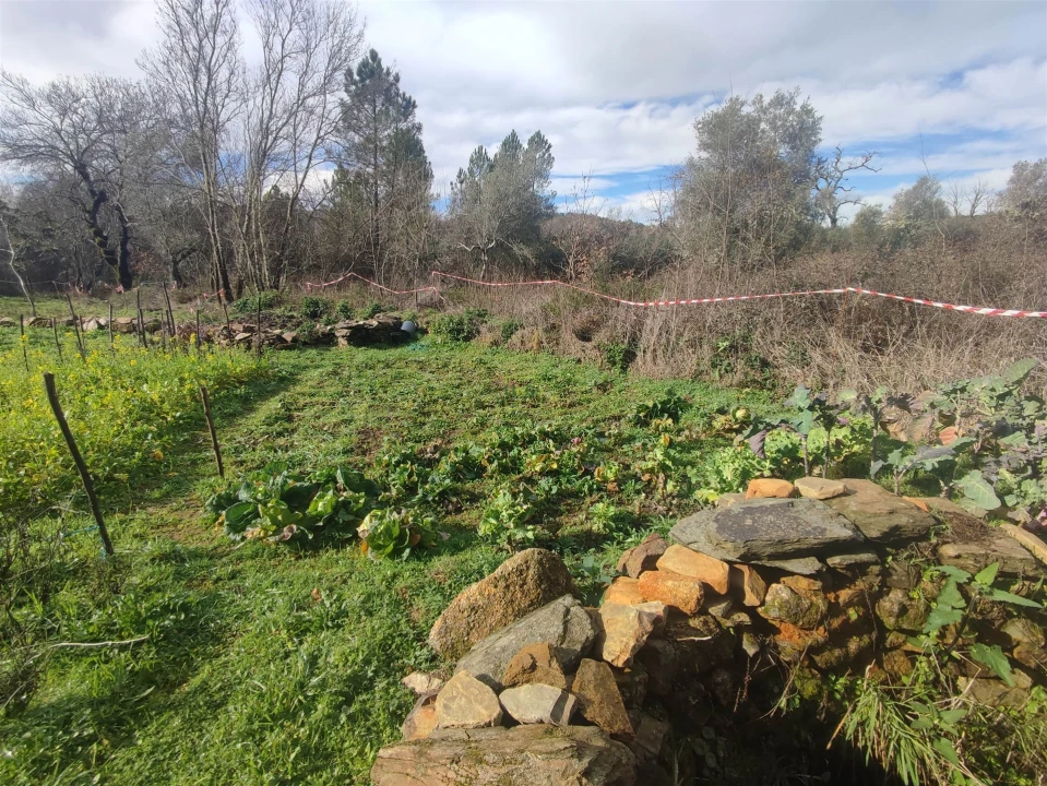 Terreno Agricola ou Rústico para Venda em Monsanto e Idanha-A-Velha Foto 12