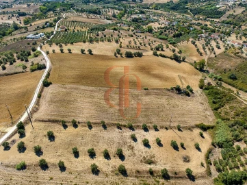 Terreno para Venda em Moçarria