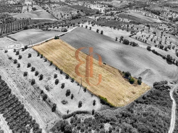 Terreno para Venda em Moçarria