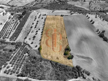 Terreno para Venda em Moçarria