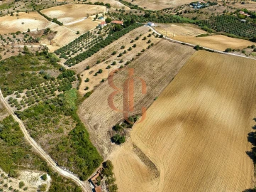 Terreno para Venda em Moçarria