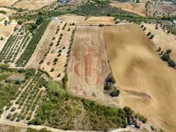 Terreno para Venda em Moçarria