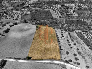 Terreno para Venda em Moçarria