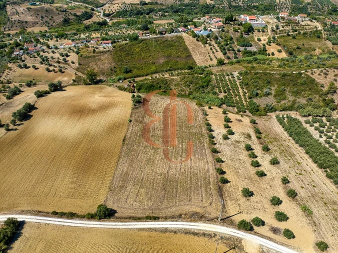 Terreno para Venda em Moçarria Foto 10