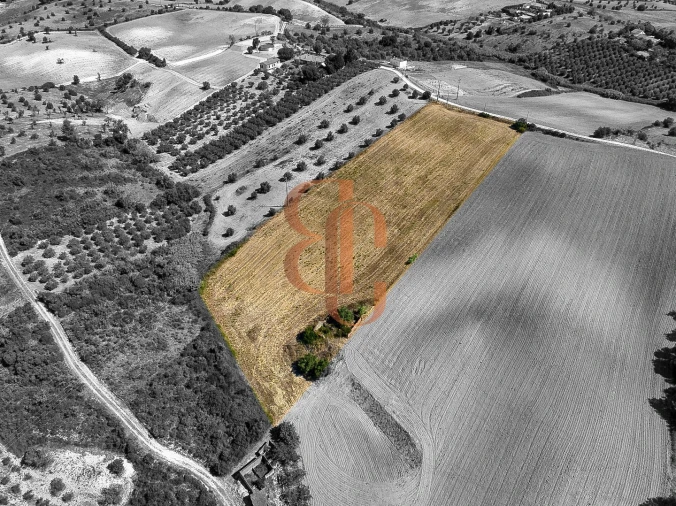 Terreno para Venda em Moçarria Foto 3