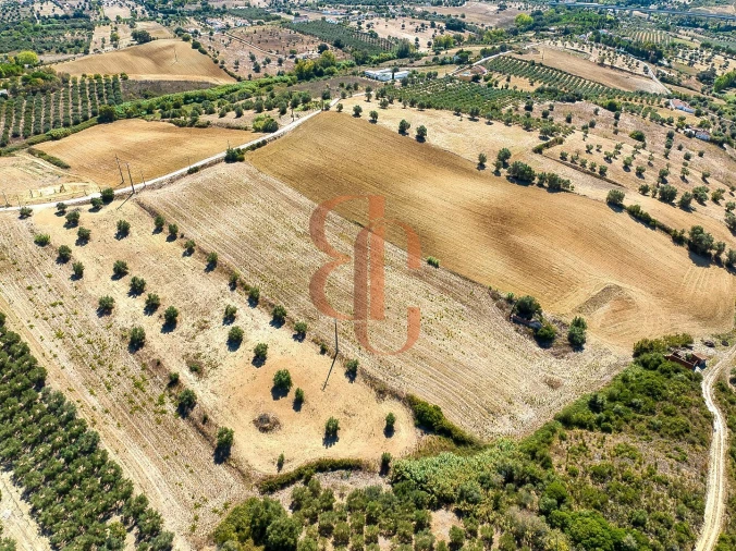Terreno para Venda em Moçarria Foto 14