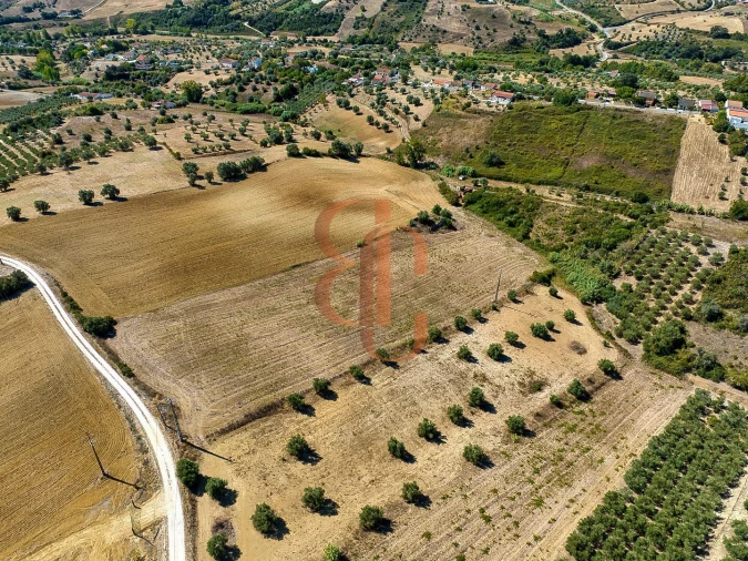 Terreno para Venda em Moçarria Foto 11