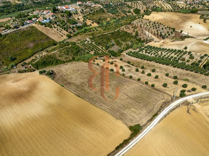Terreno para Venda em Moçarria Foto 8