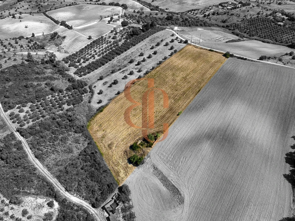 Terreno para Venda em Moçarria Foto 3